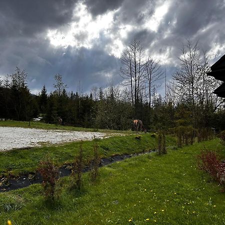 Apartamenty Willa Nika Zakopane Luaran gambar