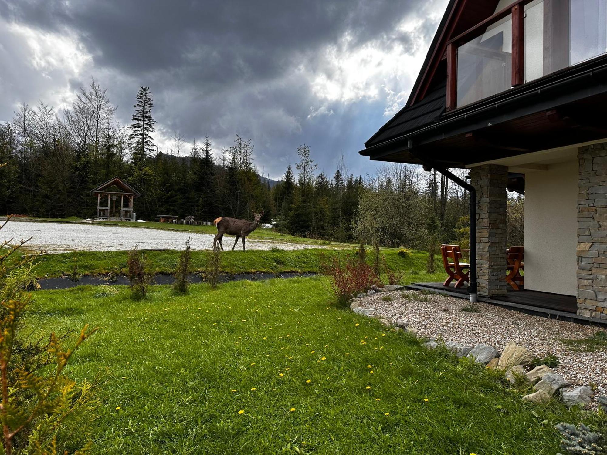 Apartamenty Willa Nika Zakopane Luaran gambar